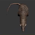 Realistic Brown Rat 3D Model With Detailed Fur And Shiny Surface Reflection 3d model