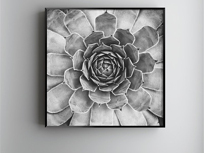 Modern Plant Painting Black and White Study Plant Flower Decorative Painting model