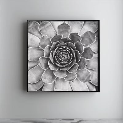 Black and White Succulent Plant Painting Framed Hanging on Wall Art Decor 3d model