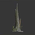 Rustic Tree Stump Decorative Piece With Broken Trunk Sections And Small Green Plants