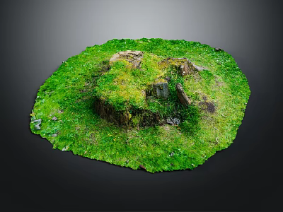Round Green Grass Area With Wooden Stump And Stone Features Covered In Moss 3d model