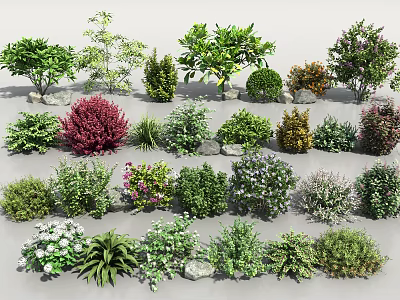 Diverse Assorted Plant Combinations For Garden Landscaping With Shrubs Flowers And Greenery 3d model