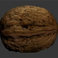 Whole Natural Walnut With Brown Textured Shell On Dark Background