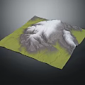 3D Mountain Terrain Model With Green Base White Peaks And Gray Slopes