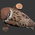 Sparrow Perched on Wooden Branch with Detailed Feathers Against Dark Background