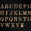 Floral Decorated English Alphabet Letters With Golden Frames On Black Background