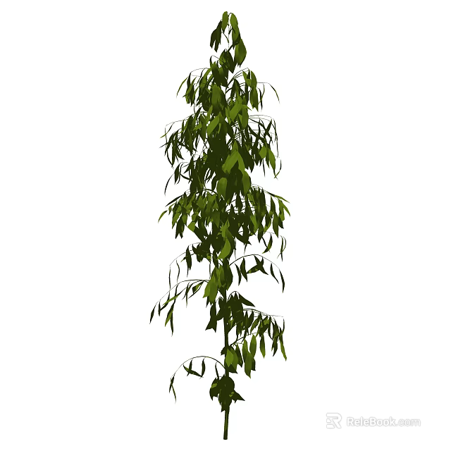 Tall Upright Shrub With Dense Green Leaves For Garden Landscaping 3d model 