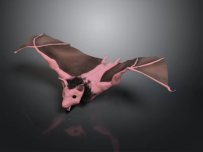 Pink Bat With Spread Wings Black Fur And Sharp Fangs On Gray Background 3d model