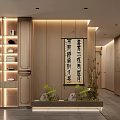 Traditional Store Front Desk with Wooden Shelves LED Strip Lighting and Decorative Plant