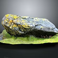 Natural Rock Formation With Yellow Moss On Green Grass Surface Surrounded By Small Plants