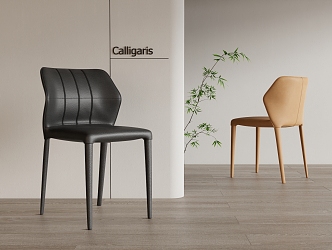 Calligaris Dining Chair Single Chair Leisure Chair 3d model