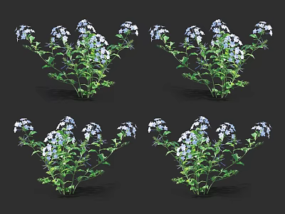Four Clusters of Small Blue and White Flowers with Green Leaves 3d model