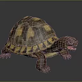 Detailed Realistic Tortoise With Yellow Brown Patterned Shell On Gray Background 3d model