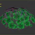 Vibrant Green Clover Plants Covering Spherical Shape Against Dark Background