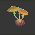 Colorful Mushroom Shaped Food With Orange Caps Purple Base And Blue Stems