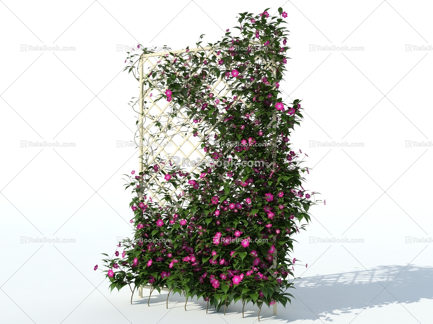 Clematis plant wall vine plant climbing wall plant 3d model