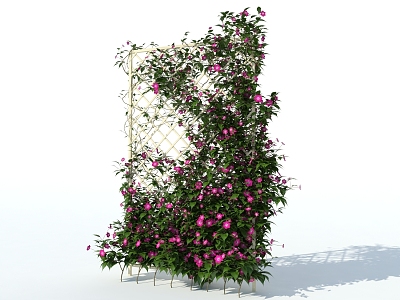 Clematis plant wall vine plant climbing wall plant 3d model