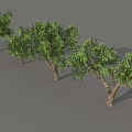 Arbor Trees in Various Sizes Displaying Green Foliage and Natural Trunks 3d model