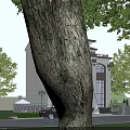 Modern Chinese Style Two Story Detached Villa With Arched Windows Brown Roof And Green Plants