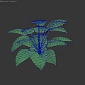 Lush Green Shrub With Vibrant Healthy Foliage And Broad Leaves