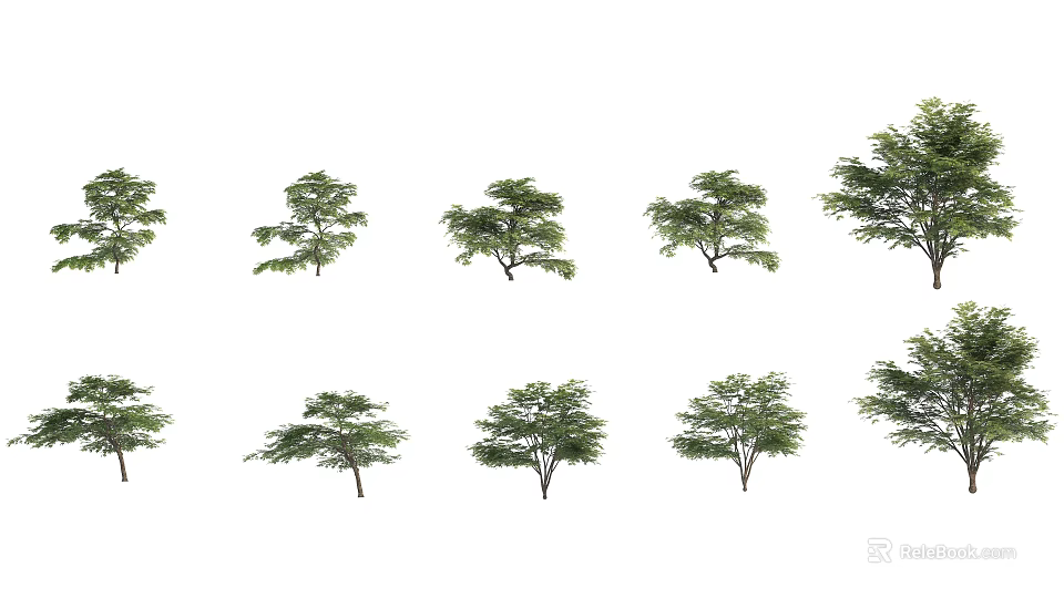 Various Arbor Trees With Green Foliage In Different Growth Forms 3d model