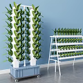 Commercial Vertical Farming Equipment With Multi Tier Racks And Wheeled Design For Growing Plants
