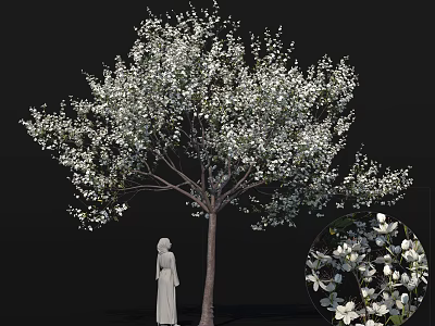 Flowering Arbor Adorned with Abundant White Blossoms and Standing Statue Detailed Close Up 3d model