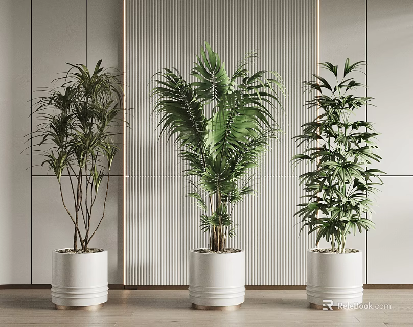 Indoor Modern Potted Plants With Three Different Green Species In White Pots 3d model 