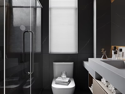 Modern Bathroom With Dark Walls Glass Shower Blinds Toilet And Vanity 3d model