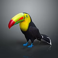 Toucan Isolated On Gray Background With Red Green Yellow Beak Blue Feet And Black Body