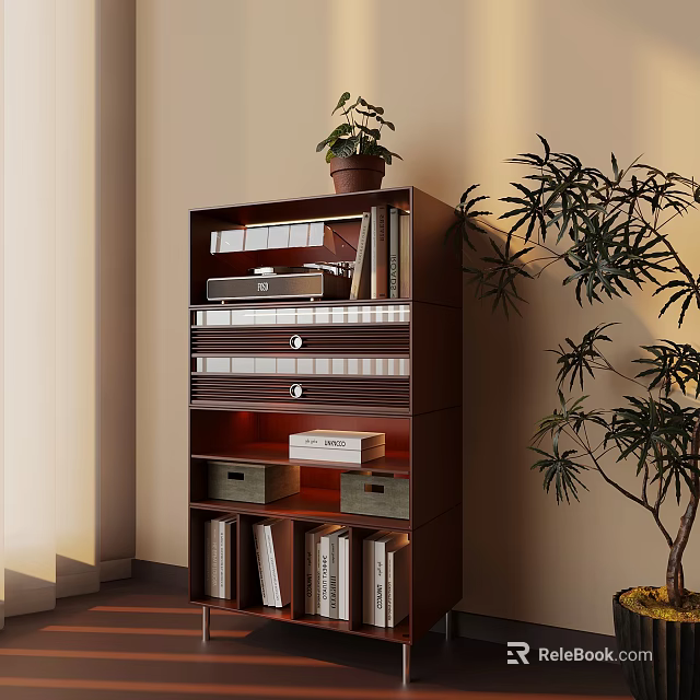 Dark Wooden Bookcase with Files Books Potted Plant and Large Indoor Tree Beside 3d model 