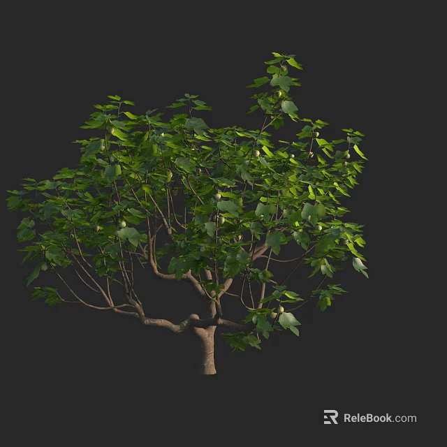 Lush Tree With Green Leaves And Natural Branch Trunk Structure On Black Background 3d model 
