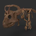 Prehistoric Reptile Dinosaur Skeleton Fossil With Detailed Bone Structure