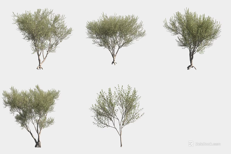Arbor Trees Featuring Green Foliage And Natural Branch Structures In Multiple Forms 3d model 