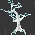 Isolated Leafless Tree With Twisted Branches And Dry Trunk On Dark Background