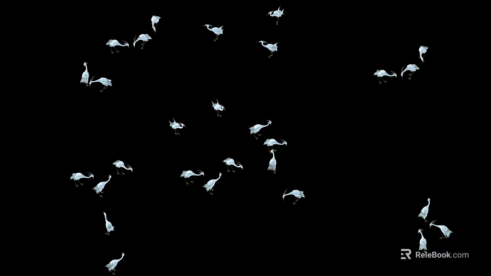 Flock of White Birds Flying in Formation on Black Background 3d model 