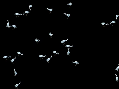 Flock of White Birds Flying in Formation on Black Background 3d model