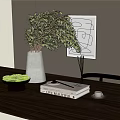 Decorative Ornament Set With White Vase Green Foliage Moss Bowl Books Teacup And Line Art
