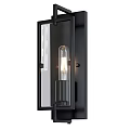 Modern Black Frame Wall Light With Transparent Glass Panel And Illuminated Vintage Bulb