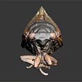 Modern cicada shell 3d model