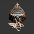 Modern cicada cicada cicada shell 3d model