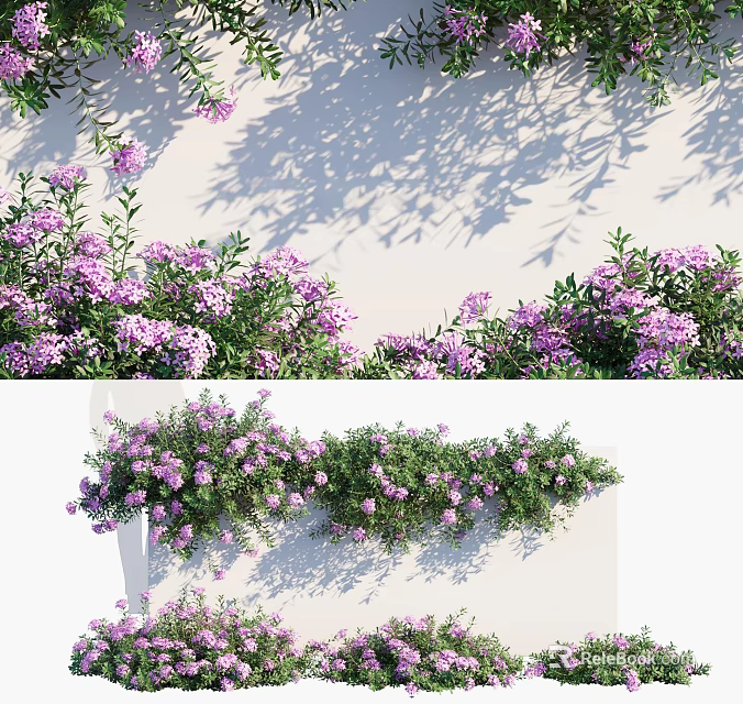 Climbing Vines with Purple Flowers and Lush Green Leaves Decorating White Wall Surface 3d model 
