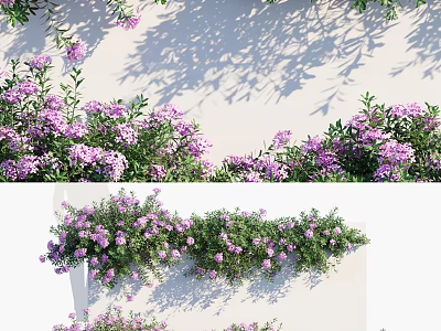 Climbing Vines with Purple Flowers and Lush Green Leaves Decorating White Wall Surface 3d model
