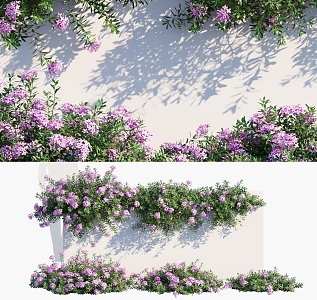 Modern Vine Plant Flowers 3d model