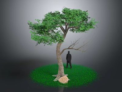 Lush Green Tree with Thick Trunk Dense Leaves Person Standing Green Grass and Small Stone 3d model