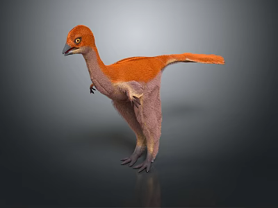 3D Rendered Feathered Dinosaur Model With Orange Plumage Standing On Grey Background 3d model