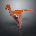 3D Rendered Feathered Dinosaur Model With Orange Plumage Standing On Grey Background