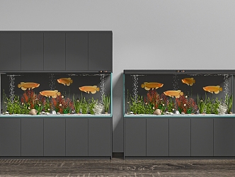 aquarium 3d model