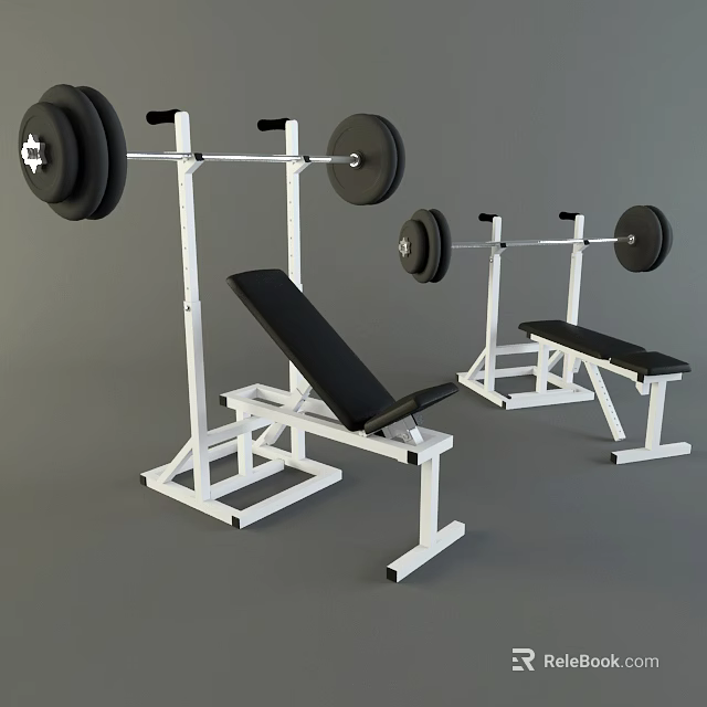 Sturdy Home Gym Fitness Equipment With Barbells Bench Press Racks And Weight Benches 3d model 