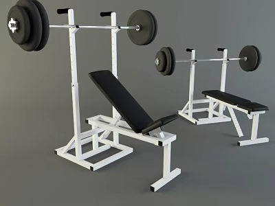 Sturdy Home Gym Fitness Equipment With Barbells Bench Press Racks And Weight Benches 3d model